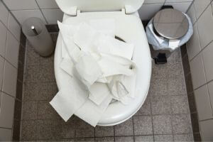 clogged toilet reasons